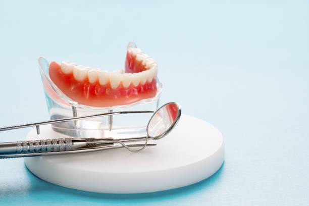 Best Dental Exams and Cleanings  in Thonotosassa, FL